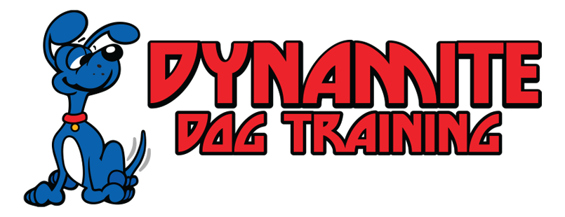 dynamite-dog-training-logo-mobile-2