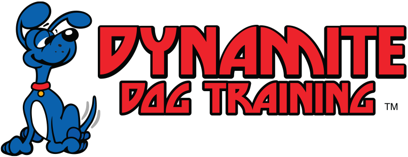 Dynamite Dog Training