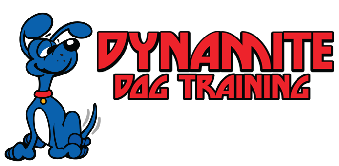 Dynamite Dog Training
