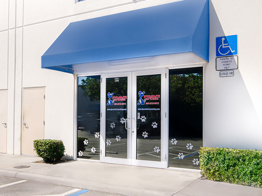 deerfield-location-dynamite-dog-training-img1