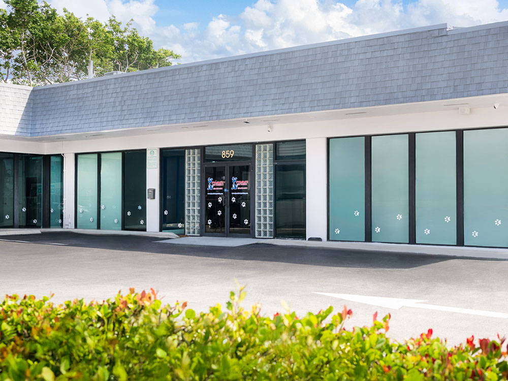 fort-lauderdale-location-dynamite-dog-training-img1