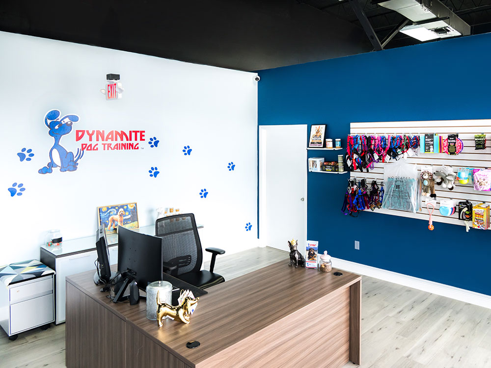 fort-lauderdale-location-dynamite-dog-training-img13