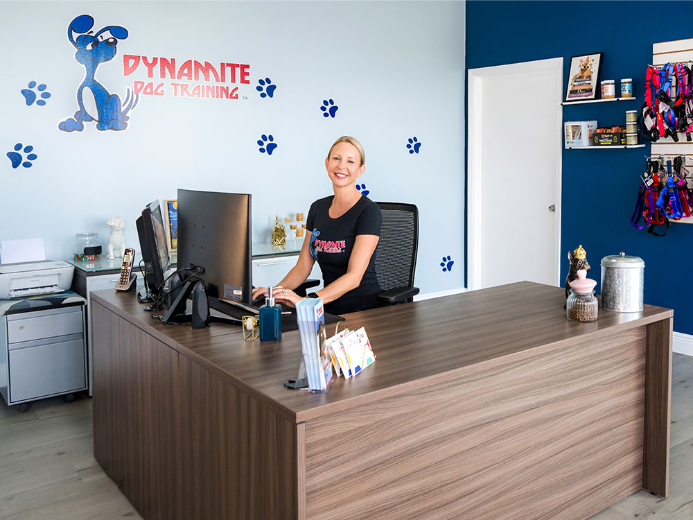 fort-lauderdale-location-dynamite-dog-training-img7