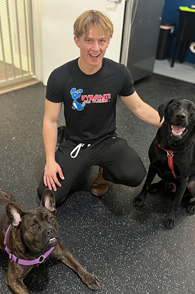 mason-di-molfetta-professional-dog-trainer-dynamite-dog-training-1