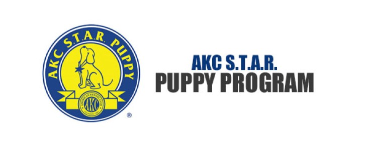 akc-star-puppy-program-brand-logo2