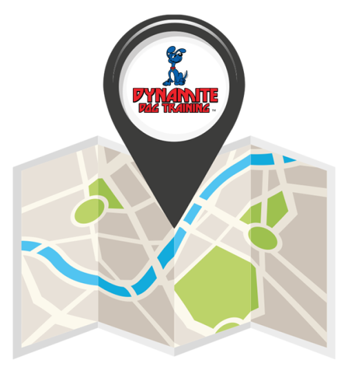 dynamite-dog-training-locations-icon-3